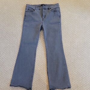 Ann Taylor Women's Gray Jeans